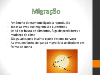 - Fenômeno diretamente ligado à reprodução
- Todas as aves que migram são Euritermas
- Se dá por busca de alimentos, fuga de predadores e
mudança de clima
- São guiadas pelo instinto e pelo sistema nervoso
- As aves em forma de bando migratório se dispõem em
forma de cunha
 