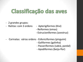 - 2 grandes grupos:
- Ratitas: com 3 ordens - Apterigiformes (Kivi)
- Reiformes (emas)
- Estrucioniformes (avestruz)
- Carinatas: várias ordens - Esfeniciformes (pinguim)
- Galiformes (galinha)
- Passeriformes (sabiá, pardal)
- Apodiformes (beija-flor)
 