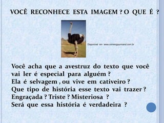 VOCÊ RECONHECE ESTA IMAGEM ? O QUE É ?
Disponível em www.correiogourmand.com.br
Você acha que a avestruz do texto que você
vai ler é especial para alguém ?
Ela é selvagem , ou vive em cativeiro ?
Que tipo de história esse texto vai trazer ?
Engraçada ? Triste ? Misteriosa ?
Será que essa história é verdadeira ?
 