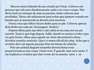 Mas eu estava falando da sua criação por Deus. Colocou um
pescoço que não tem absolutamente nada a ver com o corpo. Não
devia mais ter estoque de asas no paraíso, então colocou asas
atrofiadas. Talvez até sabiamente para evitar que saíssem voando em
bandos por aí assustando as demais aves normais.
Outra coisa que faltou foram dedos para os pés. Colocou apenas
dois dedos em cada pé. Sacanagem, Senhor!
Depois olhou para sua obra e não sabia se era uma ave ou um
camelo. Tanto é que logo depois, Adão, dando os nomes a tudo o que
via pela frente, olhou para aquele ser meio abominável e disse :
Struthio camelus australis. Que é o nome oficial da coisa. Acho que o
struthio deve ser aquele pescoço fino em forma de salsicha .
Pois um animal daquele tamanho deveria botar ovos
proporcionais ao seu corpo. Outro erro. É grande, mas nem tanto. E
me explicava o criador que elas vivem até os setenta anos e se
 