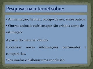 • Alimentação, habitat, biotipo da ave, entre outros.
• Outros animais exóticos que são criados como de
estimação.
A partir do material obtido:
•Localizar novas informações pertinentes e
compará-las.
•Resumi-las e elaborar uma conclusão.
 