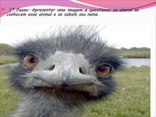  1º Passo: Apresentar uma imagem e questionar os alunos se
conhecem esse animal e se sabem seu nome.
 