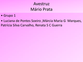 Avestruz
Mário Prata
• Grupo 1
• Luciana de Pontes Soeiro ,Márcia Maria G Marques,
Patrícia Silva Carvalho, Renata S C Guerra
 