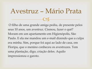 
O filho de uma grande amiga pediu, de presente pelos
seus 10 anos, um avestruz. Cismou, fazer o quê?
Moram em um apartamento em Higienópolis, São
Paulo. E ela me mandou um e-mail dizendo que a culpa
era minha. Sim, porque foi aqui ao lado de casa, em
Floripa, que o menino conheceu os avestruzes. Tem
uma plantação, digo, criação deles. Aquilo
impressionou o garoto.
Avestruz – Mário Prata
 