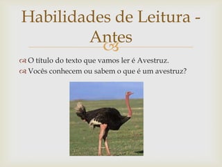 
 O título do texto que vamos ler é Avestruz.
 Vocês conhecem ou sabem o que é um avestruz?
Habilidades de Leitura -
Antes
 