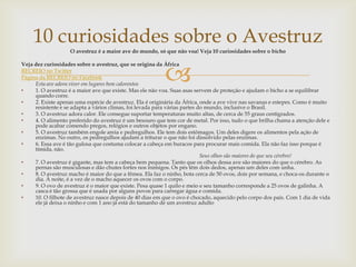 
O avestruz é a maior ave do mundo, só que não voa! Veja 10 curiosidades sobre o bicho
Veja dez curiosidades sobre o avestruz, que se origina da África
RECREIO no Twitter
Página da RECREIO no Facebook
Esta ave adora viver em lugares bem calorentos
• 1. O avestruz é a maior ave que existe. Mas ele não voa. Suas asas servem de proteção e ajudam o bicho a se equilibrar
quando corre.
• 2. Existe apenas uma espécie de avestruz. Ela é originária da África, onde a ave vive nas savanas e estepes. Como é muito
resistente e se adapta a vários climas, foi levada para várias partes do mundo, inclusive o Brasil.
• 3. O avestruz adora calor. Ele consegue suportar temperaturas muito altas, de cerca de 55 graus centígrados.
• 4. O alimento preferido do avestruz é um besouro que tem cor de metal. Por isso, tudo o que brilha chama a atenção dele e
pode acabar comendo pregos, relógios e outros objetos por engano.
• 5. O avestruz também engole areia e pedregulhos. Ele tem dois estômagos. Um deles digere os alimentos pela ação de
enzimas. No outro, os pedregulhos ajudam a triturar o que não foi dissolvido pelas enzimas.
• 6. Essa ave é tão gulosa que costuma colocar a cabeça em buracos para procurar mais comida. Ela não faz isso porque é
tímida, não.
Seus olhos são maiores do que seu cérebro!
• 7. O avestruz é gigante, mas tem a cabeça bem pequena. Tanto que os olhos dessa ave são maiores do que o cérebro. As
pernas são musculosas e dão chutes fortes nos inimigos. Os pés têm dois dedos, apenas um deles com unha.
• 8. O avestruz macho é maior do que a fêmea. Ela faz o ninho, bota cerca de 50 ovos, dois por semana, e choca-os durante o
dia. À noite, é a vez de o macho aquecer os ovos com o corpo.
• 9. O ovo de avestruz é o maior que existe. Pesa quase 1 quilo e meio e seu tamanho corresponde a 25 ovos de galinha. A
casca é tão grossa que é usada por alguns povos para carregar água e comida.
• 10. O filhote de avestruz nasce depois de 40 dias em que o ovo é chocado, aquecido pelo corpo dos pais. Com 1 dia de vida
ele já deixa o ninho e com 1 ano já está do tamanho de um avestruz adulto
10 curiosidades sobre o Avestruz
 