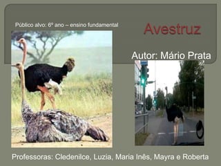 Autor: Mário Prata
Público alvo: 6º ano – ensino fundamental
Professoras: Cledenilce, Luzia, Maria Inês, Mayra e Roberta
 