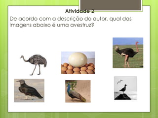 Atividade 2
De acordo com a descrição do autor, qual das
imagens abaixo é uma avestruz?
 