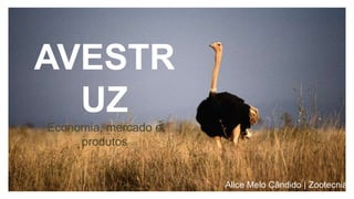 AVESTR
UZ
Economia, mercado e
produtos
Alice Melo Cândido | Zootecnia, U
 