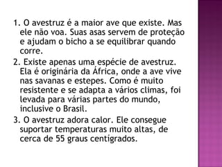 1. O avestruz é a maior ave que existe. Mas
ele não voa. Suas asas servem de proteção
e ajudam o bicho a se equilibrar quando
corre.
2. Existe apenas uma espécie de avestruz.
Ela é originária da África, onde a ave vive
nas savanas e estepes. Como é muito
resistente e se adapta a vários climas, foi
levada para várias partes do mundo,
inclusive o Brasil.
3. O avestruz adora calor. Ele consegue
suportar temperaturas muito altas, de
cerca de 55 graus centígrados.
 