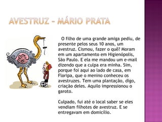 O filho de uma grande amiga pediu, de
presente pelos seus 10 anos, um
avestruz. Cismou, fazer o quê? Moram
em um apartamento em Higienópolis,
São Paulo. E ela me mandou um e-mail
dizendo que a culpa era minha. Sim,
porque foi aqui ao lado de casa, em
Floripa, que o menino conheceu os
avestruzes. Tem uma plantação, digo,
criação deles. Aquilo impressionou o
garoto. 
Culpado, fui até o local saber se eles
vendiam filhotes de avestruz. E se
entregavam em domicílio. 
 
