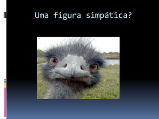 Uma figura simpática?
 
