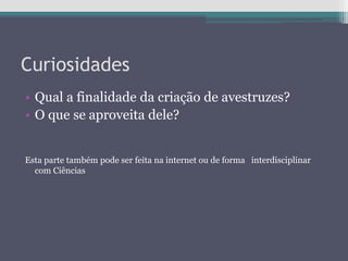 Curiosidades
• Qual a finalidade da criação de avestruzes?
• O que se aproveita dele?
Esta parte também pode ser feita na internet ou de forma interdisciplinar
com Ciências
 
