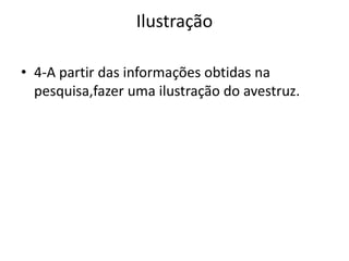 Ilustração
• 4-A partir das informações obtidas na
pesquisa,fazer uma ilustração do avestruz.
 