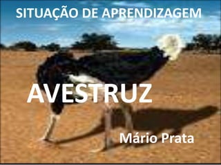 AVESTRUZ
Mário Prata
SITUAÇÃO DE APRENDIZAGEM
 