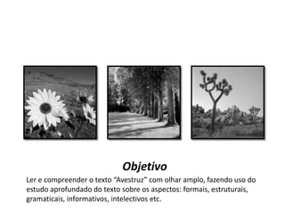 Objetivo
Ler e compreender o texto “Avestruz” com olhar amplo, fazendo uso do
estudo aprofundado do texto sobre os aspectos: formais, estruturais,
gramaticais, informativos, intelectivos etc.
 