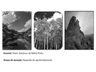 Assunto: Texto: Avestruz, de Mário Prata.
Tempo de duração: Depende do aprofundamento.
 