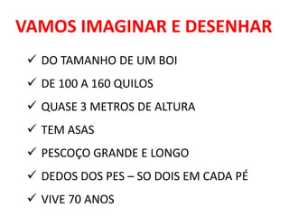 VAMOS IMAGINAR E DESENHAR
 DO TAMANHO DE UM BOI
 DE 100 A 160 QUILOS
 QUASE 3 METROS DE ALTURA
 TEM ASAS
 PESCOÇO GRANDE E LONGO
 DEDOS DOS PES – SO DOIS EM CADA PÉ
 VIVE 70 ANOS
 