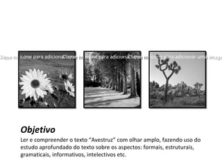 Objetivo
Ler e compreender o texto “Avestruz” com olhar amplo, fazendo uso do
estudo aprofundado do texto sobre os aspectos: formais, estruturais,
gramaticais, informativos, intelectivos etc.
Clique no ícone para adicionar uma imagemClique no ícone para adicionar uma imagemClique no ícone para adicionar uma imagemClique no ícone para adicionar uma imagemClique no ícone para adicionar uma imageClique no ícone para adicionar uma image
 