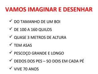 VAMOS IMAGINAR E DESENHAR
 DO TAMANHO DE UM BOI
 DE 100 A 160 QUILOS
 QUASE 3 METROS DE ALTURA
 TEM ASAS
 PESCOÇO GRANDE E LONGO
 DEDOS DOS PES – SO DOIS EM CADA PÉ
 VIVE 70 ANOS
 