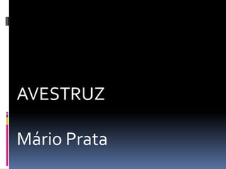 AVESTRUZ
Mário Prata
 