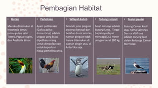 Pembagian Habitat
• Hutan
Mereka ditemukan di
Indonesia timur,
pulau-pulau selat
Torres, Papua Nugini,
dan Australia timur.
• Perkotaan
Ayam peliharaan
(Gallus gallus
domesticus) adalah
unggas yang biasa
dipelihara orang
untuk dimanfaatkan
untuk keperluan
hidup pemeliharanya.
• Wilayah kutub
Seluruh jenis pinguin
awalnya berasal dari
belahan bumi selatan,
namun pinguin tidak
hanya ditemukan di
daerah dingin atau di
Antartika saja.
• Padang rumput
Salah satunya adalah
Burung Unta. Tinggi
badannya dapat
mencapai 2,5 meter
dengan berat 180 kg.
• Pesisir pantai
Burung Camar Kecil
atau nama sainsnya
Sterna albifrons
adalah burung laut
dalam keluarga Camar
Sternidae.
 