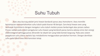 Suhu Tubuh
Aves atau burung adalah jenis hewan berdarah panas atau Homoiterm. Aves memiliki
kemampuan mempertahankan suhu tubuh pada kisaran 40 derajat. Cara kerja hewan aves yang
termasuk homoioterm dengan mengatur suhu tubuh melalui proses berkeringat atau proses radiasi.
Proses radiasi pada sistem pengaturan suhu hewan yang berdarah panas karena adanya emisi dari energi
elektromagnet sehingga panas ditransfer ke obyek lain yang tidak kontak langsung. Pada aves sistem
pengaturan suhu diatur melalui laju metabolisme menggunakan perubahan hormon. Dengan demikian
suhu pada tubuh aves bisa konsisten tetap
 