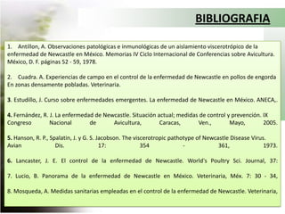 Sacrificio: De aves enfermas y avesque tuvieron contactoEvaluación clínica continua