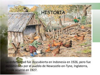 HISTORIALa enfermedad fue descubierta en Indonesia en 1926, pero fue denominada por el pueblo de Newcastle-on-Tyne, Inglaterra, donde ocurrió en 1927.