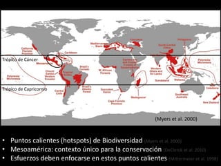 • Puntos calientes (hotspots) de Biodiversidad (Myers et al. 2000)
• Mesoamérica: contexto único para la conservación (DeC...