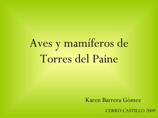 Aves y mamíferos de Torres del Paine Karen Barrera Gómez CERRO CASTILLO 2009 