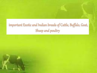 INDIGENOUS AND EXOTIC BREEDS OF LIVESTOCK