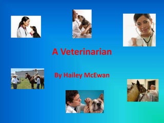A Veterinarian  By Hailey McEwan 