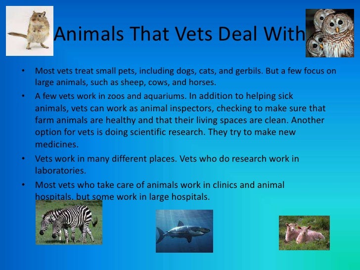 A Veterinarian