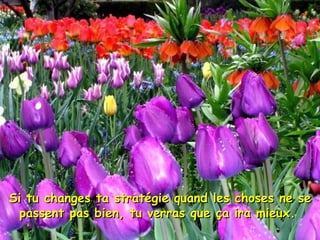 Si tu changes ta stratégie quand les choses ne seSi tu changes ta stratégie quand les choses ne se
passent pas bien, tu verras que ça ira mieux.passent pas bien, tu verras que ça ira mieux.
 