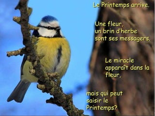 Une fleur,Une fleur,
un brin d’herbeun brin d’herbe
sont ses messagers.sont ses messagers.
Le Printemps arrive.Le Printemps arrive.
Le miracleLe miracle
apparaît dans laapparaît dans la
fleur,fleur,
mais qui peutmais qui peut
saisir lesaisir le
Printemps?Printemps?
 