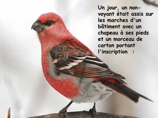 Un jour, un non-Un jour, un non-
voyant était assis survoyant était assis sur
les marches d'unles marches d'un
bâtiment avec unbâtiment avec un
chapeau à ses piedschapeau à ses pieds
et un morceau deet un morceau de
carton portantcarton portant
l'inscription  : l'inscription  : 
 