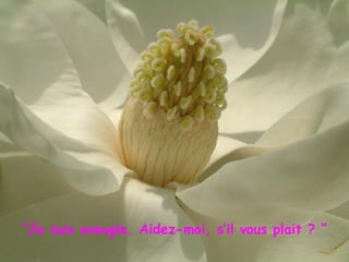 ““Je suis aveugle. Aidez-moi, s’il vous plait ? “
 