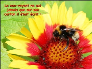 Le non-voyant ne sutLe non-voyant ne sut
jamais que sur sonjamais que sur son
carton il était écrit :carton il était écrit :
 