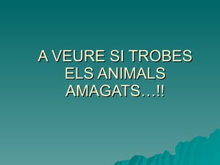A VEURE SI TROBES ELS ANIMALS AMAGATS…!! 