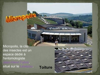 Micropolis Toiture Micropolis, la cité des insectes est un espace dédié à l'entomologiste  Jean-Henri Fabre , situé sur le  Lévézou .  