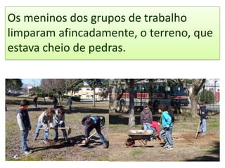 Os meninos dos grupos de trabalho
limparam afincadamente, o terreno, que
estava cheio de pedras.
 
