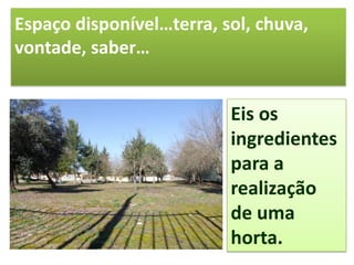 Espaço disponível…terra, sol, chuva,
vontade, saber…
Eis os
ingredientes
para a
realização
de uma
horta.
 