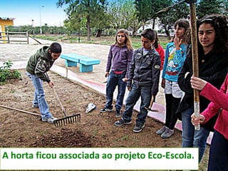 A horta ficou associada ao projeto Eco-Escola.
 