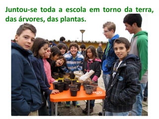 Juntou-se toda a escola em torno da terra,
das árvores, das plantas.
 