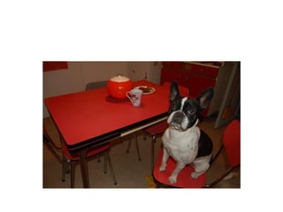 Avez vous connu_tout_ca