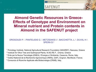 Almond Genetic Resources in Greece-  Effects of Genotype and Environment on Mineral nutrient and Protein contents in Almond in the SAFENUT project DROGOUDI P. 1 , PANTELIDIS G. 1 , METZIDAKIS I. 2 , BACCHETTA, L. 3 , DUVAL H. 4 , SPERA D. 5 1   Pomology Institute,  National Agricultural Research Foundation ( NAGREF),  Naoussa, Greece  2   Institute for Olive Tree and Subtropical Plants, N.AG.RE.F.,  Chania , Greece.   3   Ente per le Nuove Tecnologie (ENEA), l’Energia e l’Ambiente , Casaccia, Rome, Italy. 4  Institut National de la Recherche Agronomique (INRA ) ,  GAFL Avignon, Montfavet, France. 5  Consorzio di Ricerche Applicate alla Biotecnologia (CRAB), Italy. 