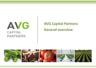 Обзорная презентация
AVG Capital Partners
 