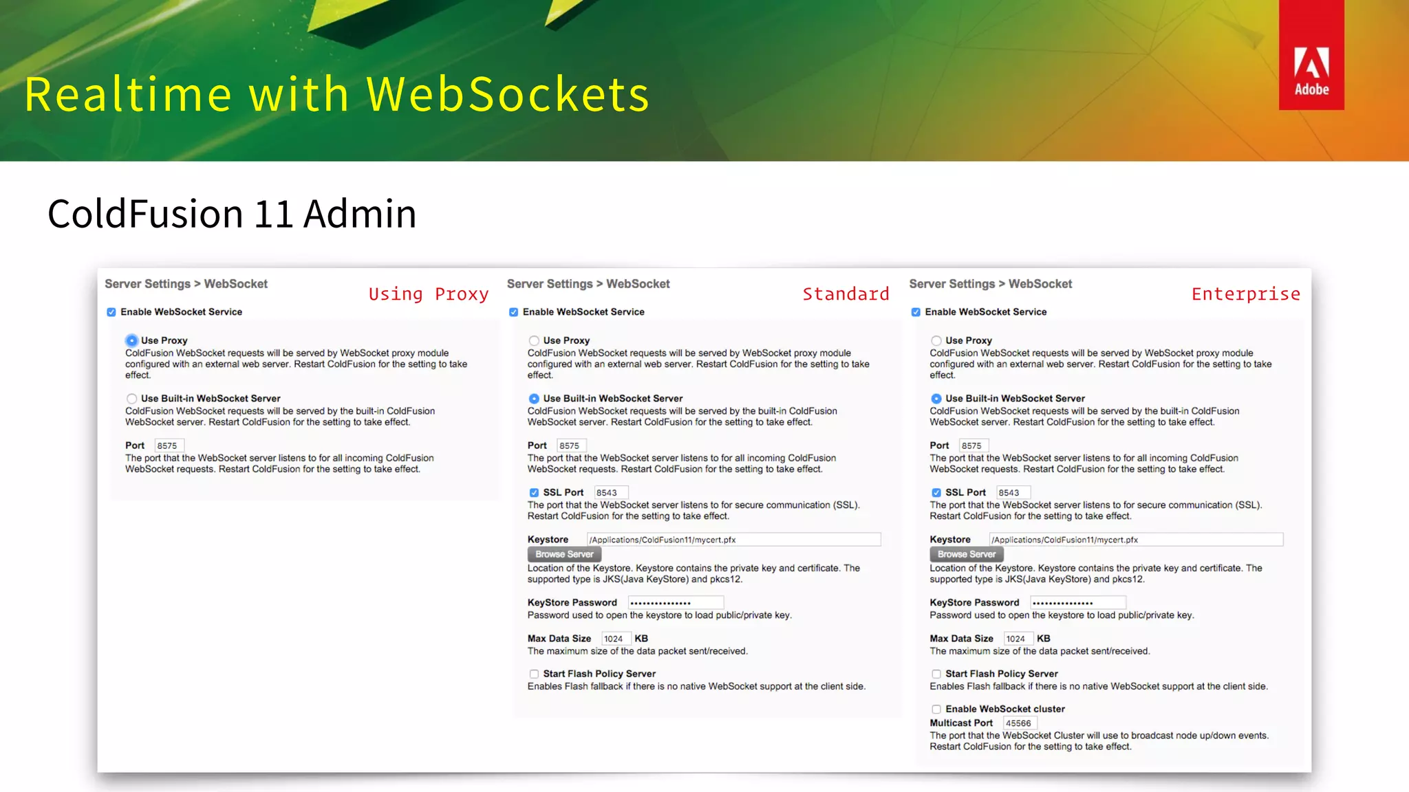 Realtime with WebSockets
ColdFusion 11 Admin
Using Proxy Standard Enterprise
 