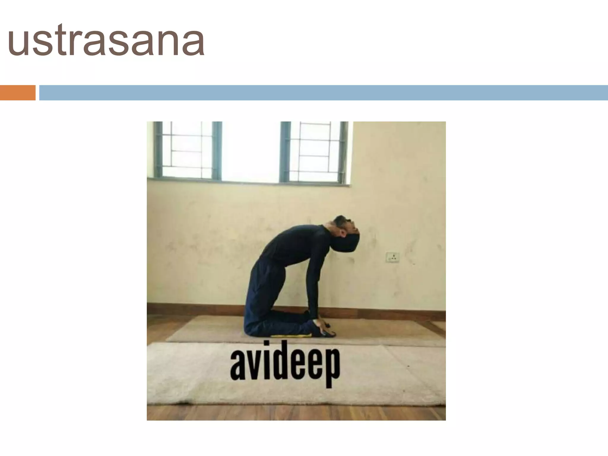 ustrasana
 